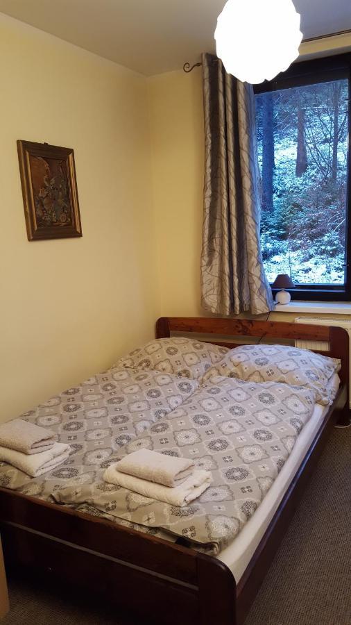 Bed and Breakfast Niezapominajka à Szczyrk Extérieur photo